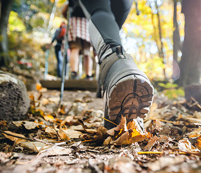 WA Retail website_0012_AdobeStock_242166938