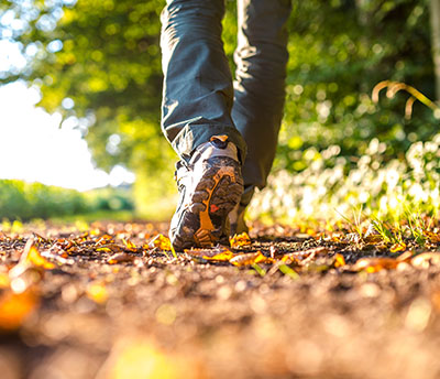 WA Retail website_0018_AdobeStock_56658930