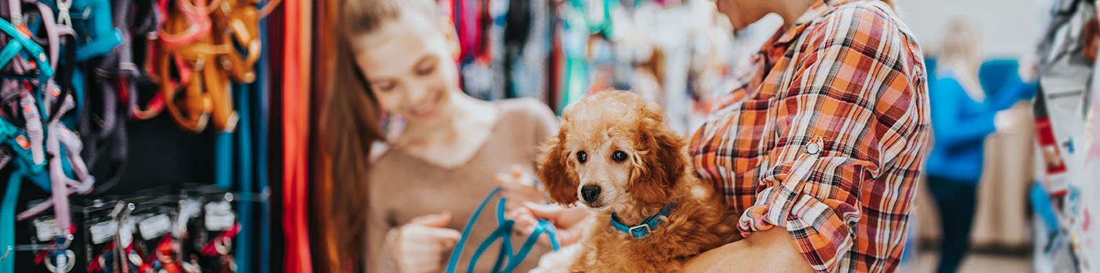 petshop-banner